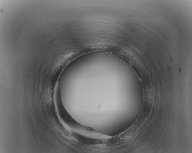 X0000062850692200601201704