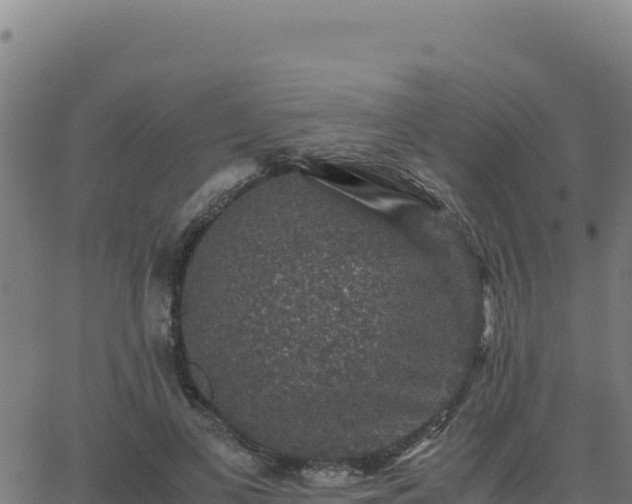 X0000062850693200601201704