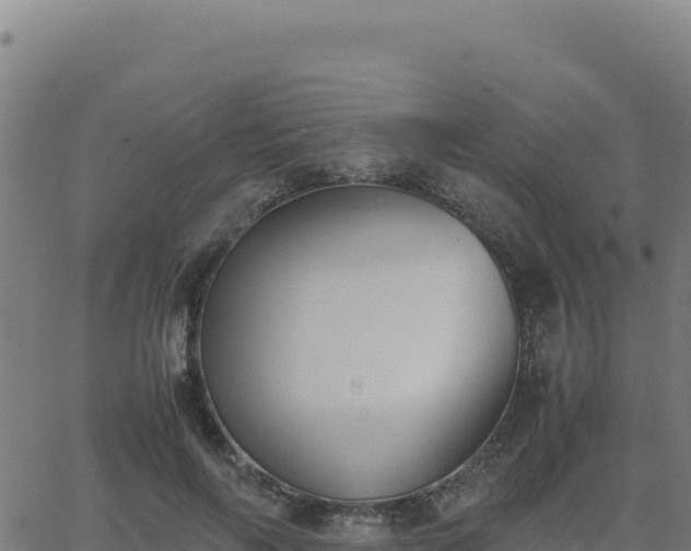 X0000062850694200601201704