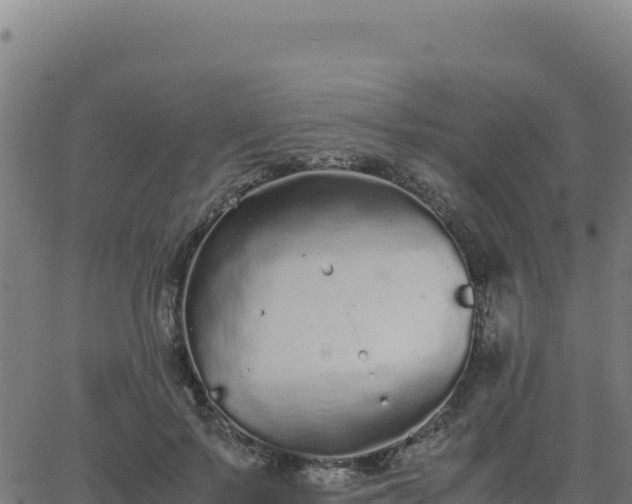 X0000062850695200601201704