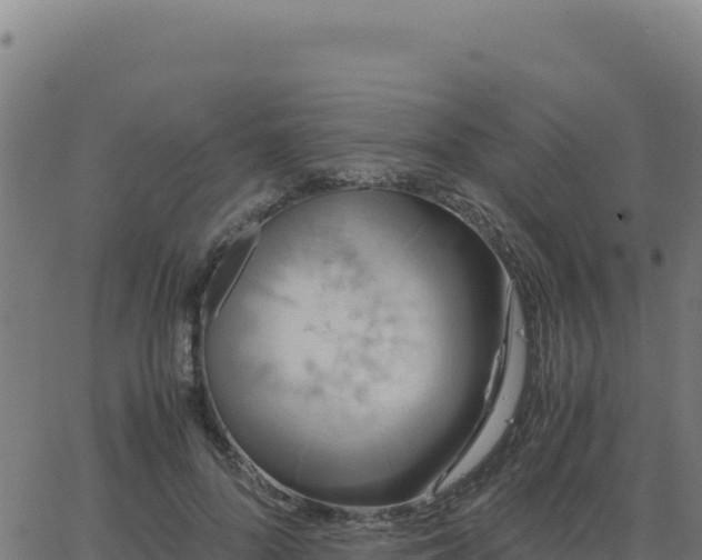 X0000062850696200601201704