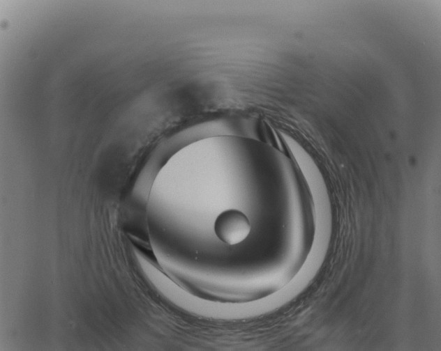 X0000062850697200601201703