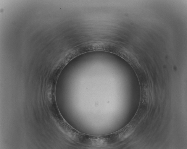 X0000062850698200601201703