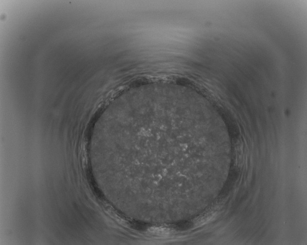 X0000062850699200601201703