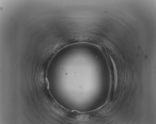 X0000062850700200601201703