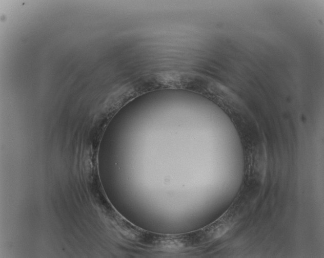 X0000062850702200601201703