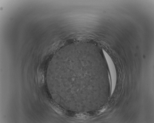 X0000062850703200601201703