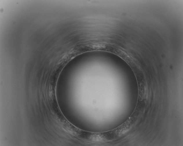 X0000062850704200601201703