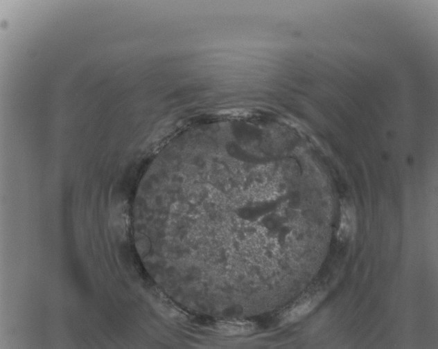 X0000062850707200601201703