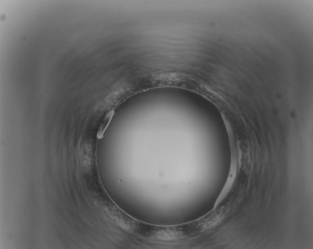 X0000062850708200601201703