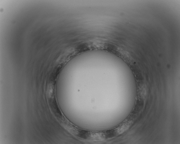 X0000062850709200601201703