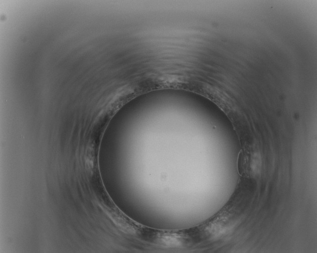 X0000062850710200601201703