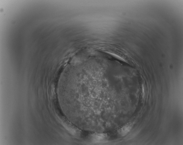 X0000062850711200601201703