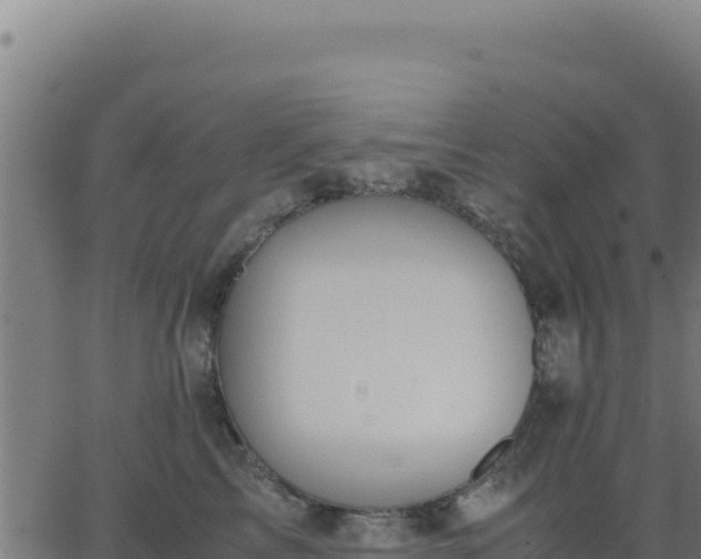 X0000062850713200601201703