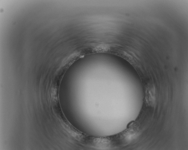 X0000062850714200601201703