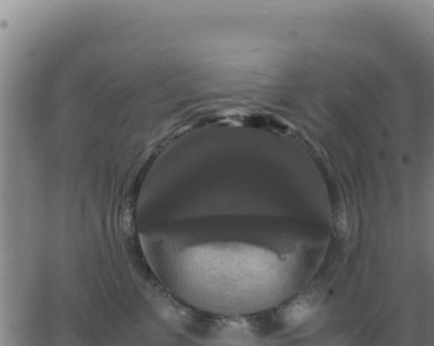 X0000062850715200601201703