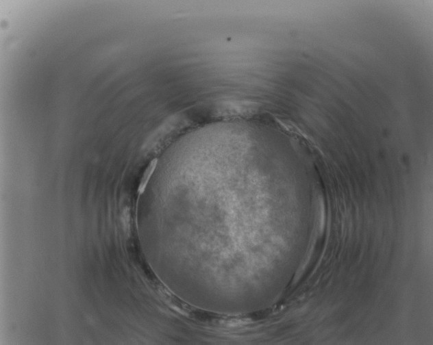 X0000062850716200601201703