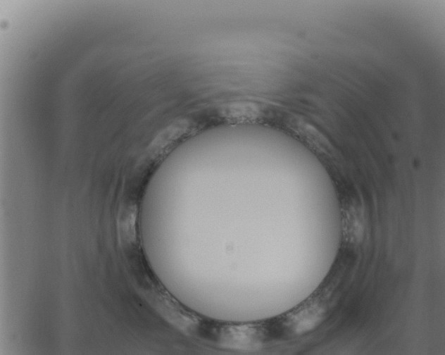 X0000062850717200601201703