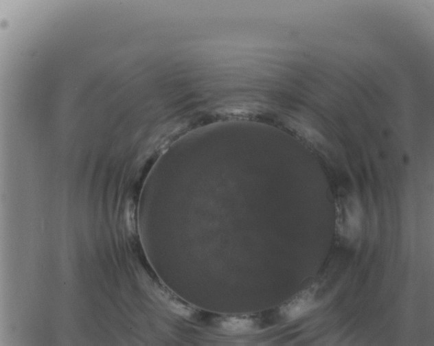 X0000062850718200601201703