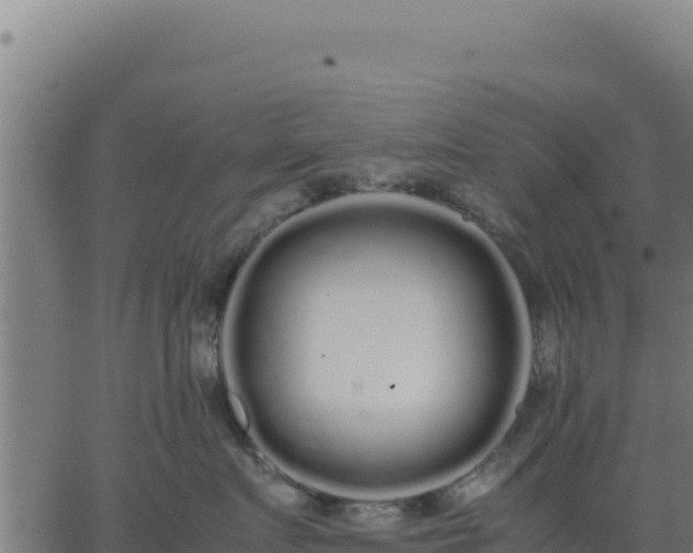 X0000062850719200601201703