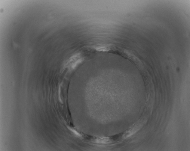 X0000062850720200601201703