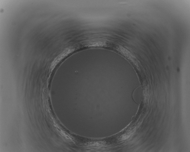 X0000062850721200601201702