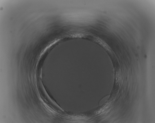 X0000062850722200601201702