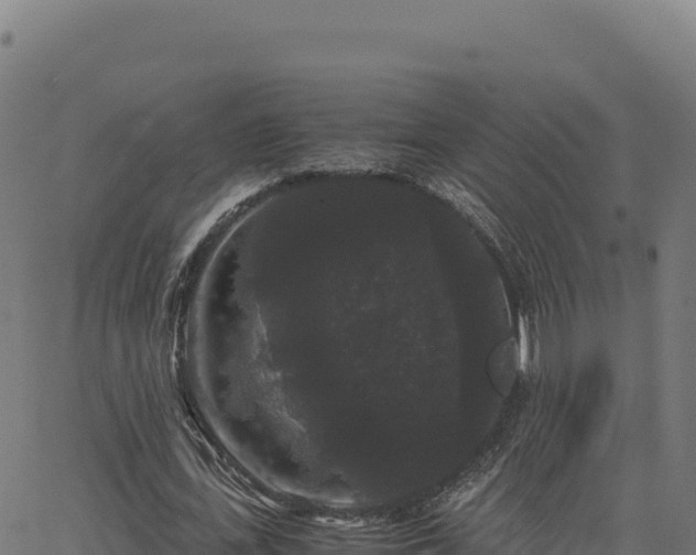 X0000062850723200601201702