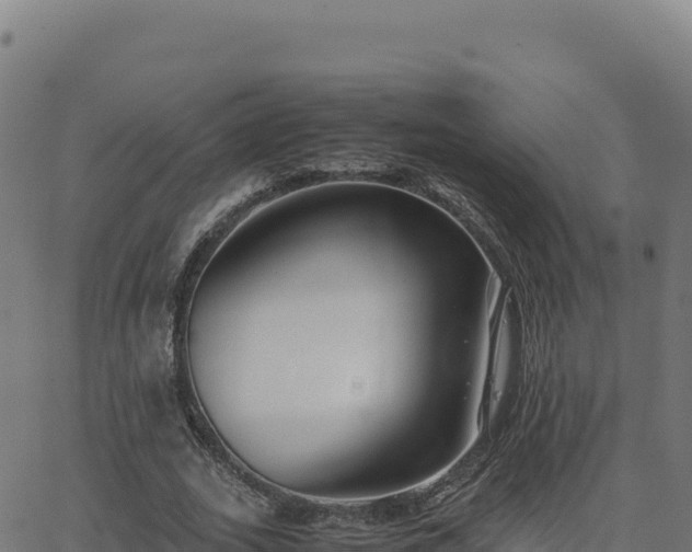 X0000062850727200601201702