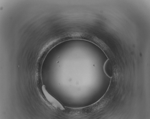 X0000062850728200601201702