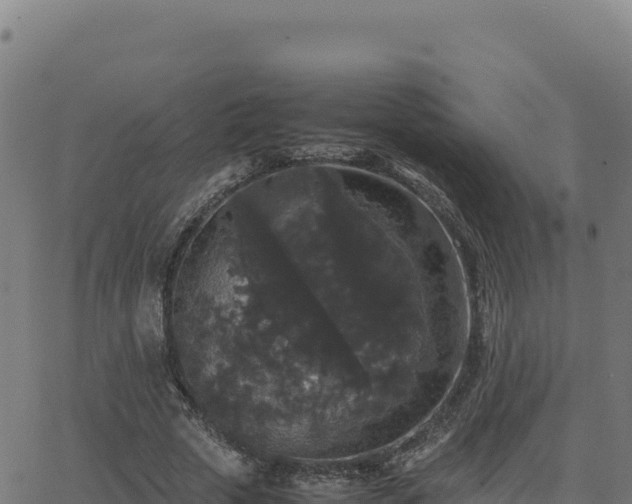 X0000062850729200601201702