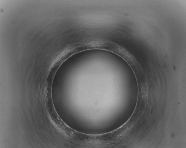 X0000062850730200601201702