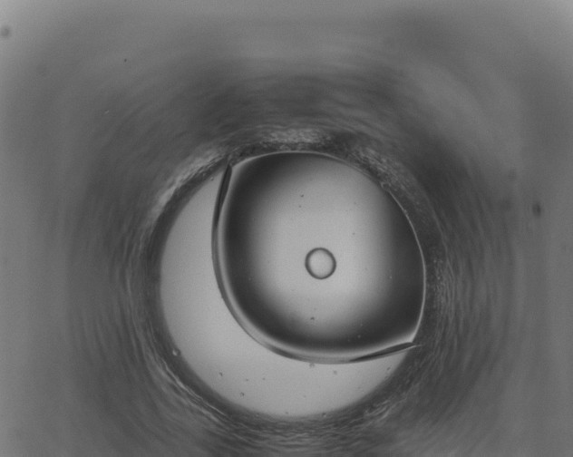 X0000062850731200601201702