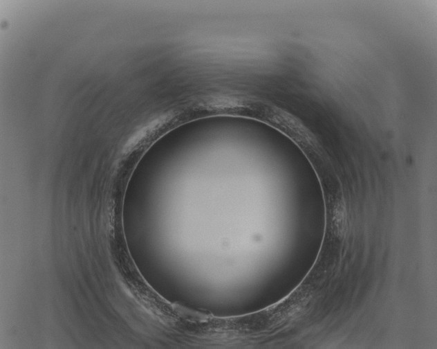 X0000062850732200601201702