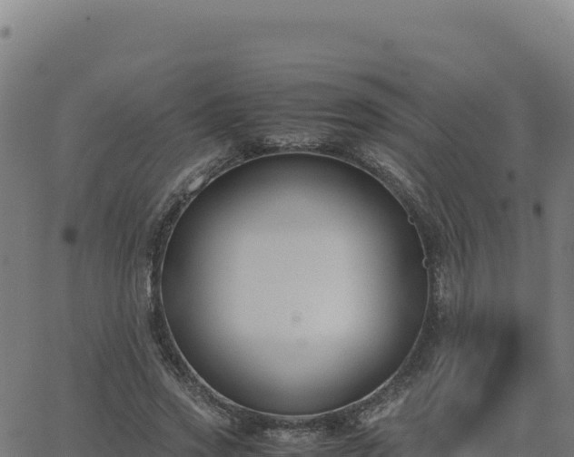 X0000062850733200601201703