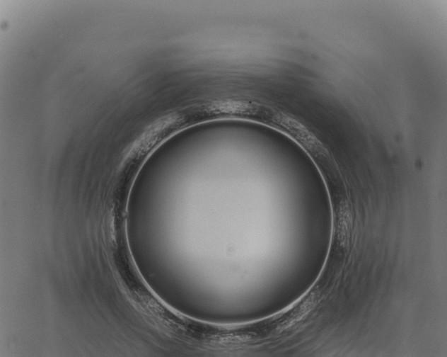 X0000062850734200601201703