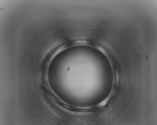 X0000062850735200601201703