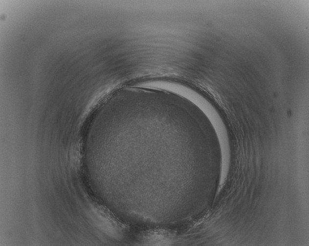 X0000062850736200601201703