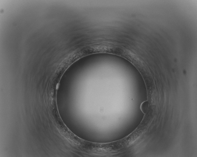 X0000062850737200601201703