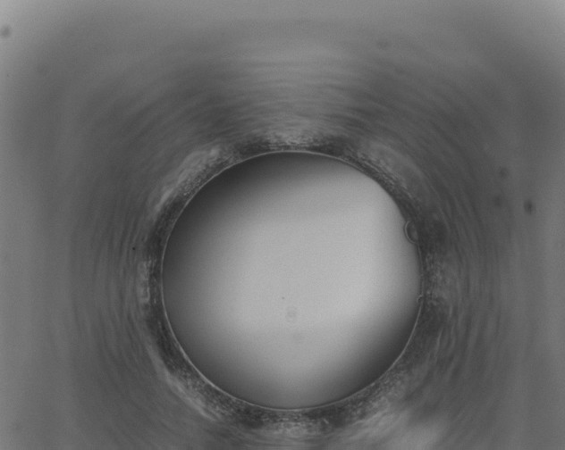 X0000062850738200601201703