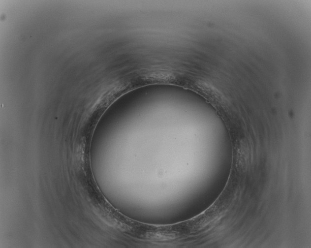 X0000062850739200601201703