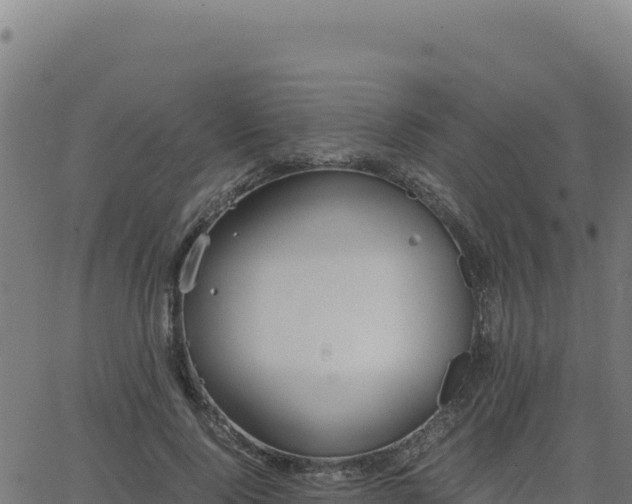 X0000062850740200601201703