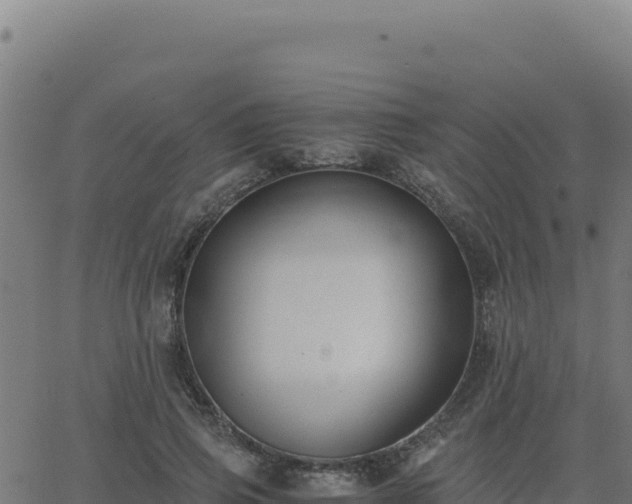 X0000062850741200601201703