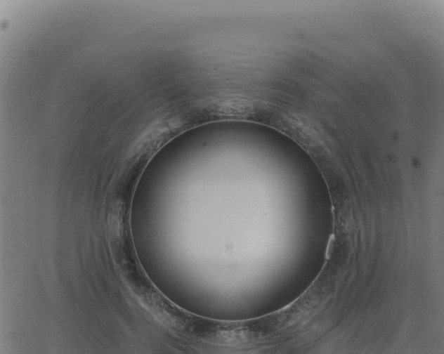 X0000062850744200601201703