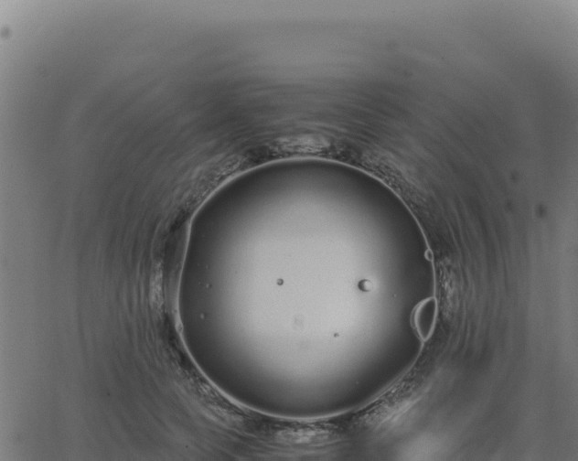 X0000062850745200601201703