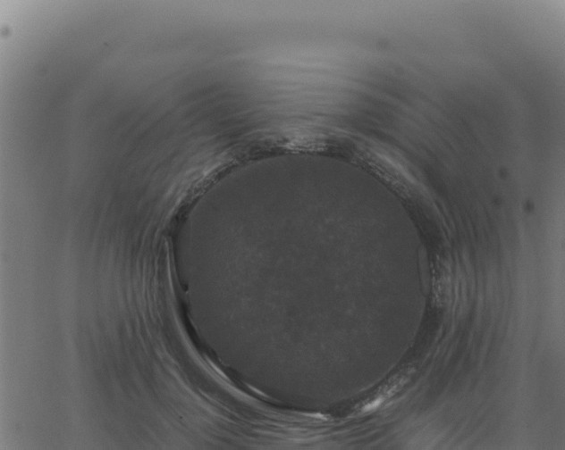 X0000062850748200601201703