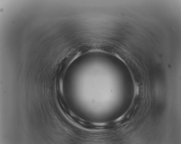 X0000062850750200601201703