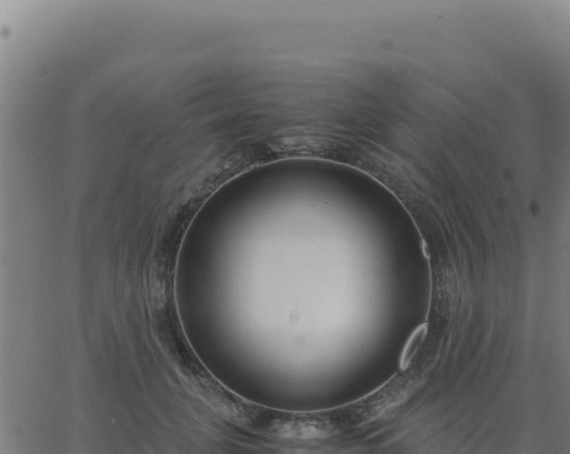 X0000062850751200601201703