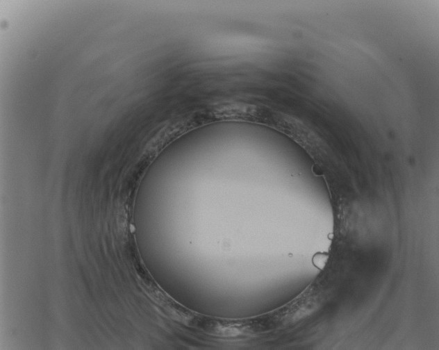 X0000062850753200601201703