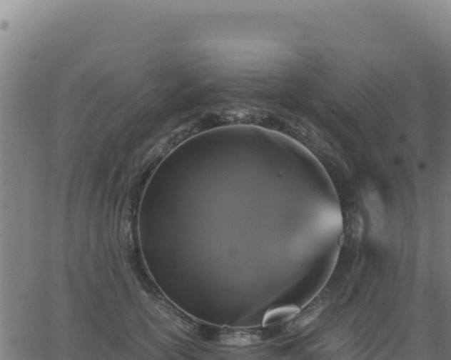 X0000062850754200601201703